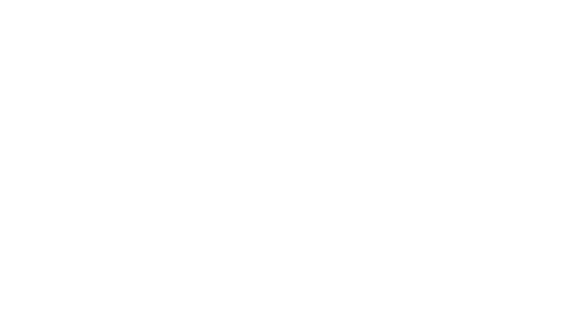 증언들