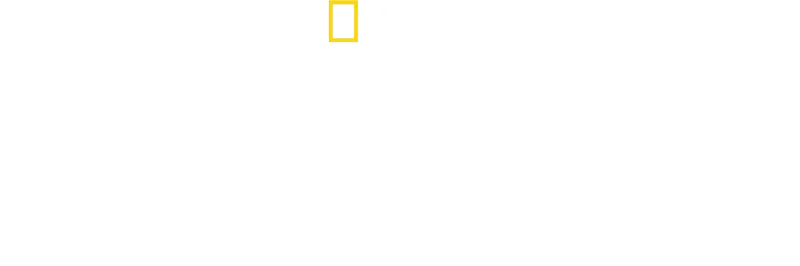 La ascensión del diablo