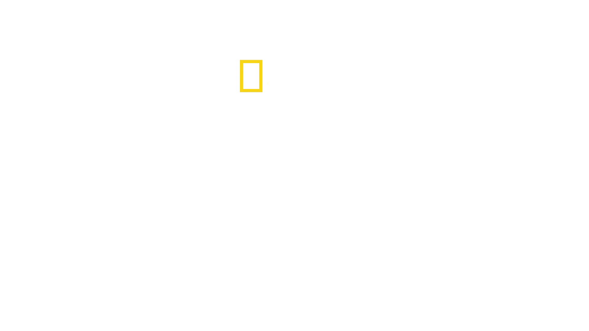 Gladiators: Warriors of the Ancient World