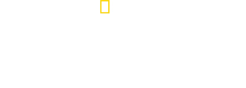 Gladiators: Warriors of the Ancient World