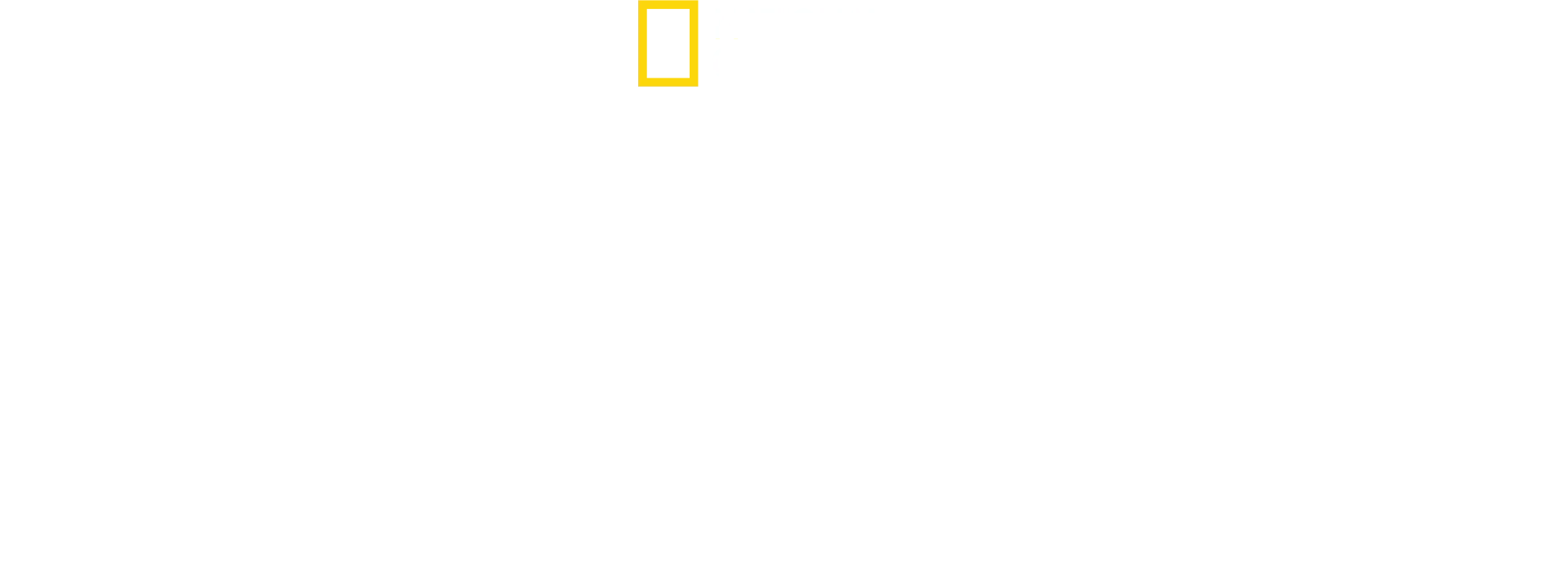 Gladiators: Warriors of the Ancient World