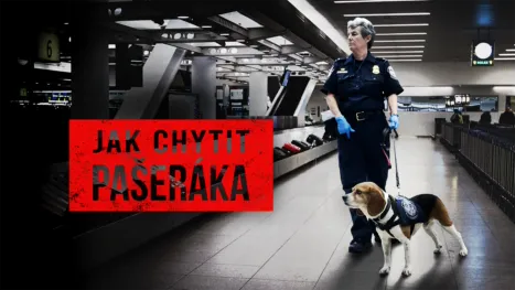 thumbnail - Jak chytit pašeráka