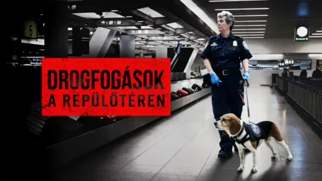 thumbnail - Drogfogások a repülőtéren
