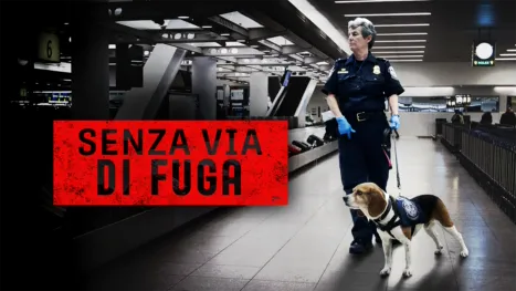 thumbnail - L’Eldorado della droga: Viaggio in USA