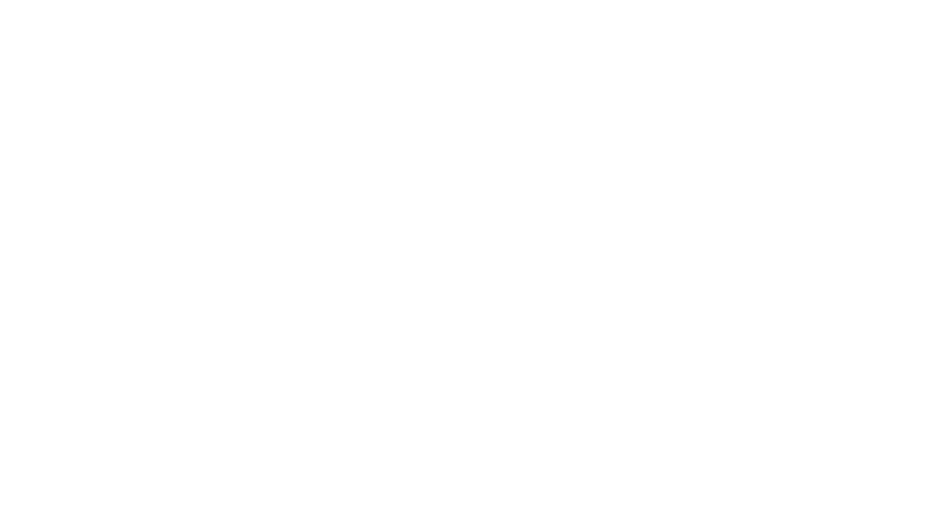 仰天！運び屋vs取締屋in全米エアポート
