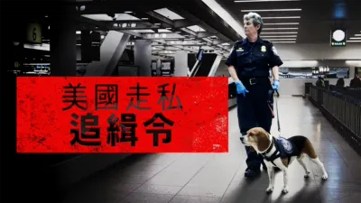 thumbnail - 美國走私追緝令