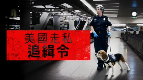 thumbnail - 美國走私追緝令