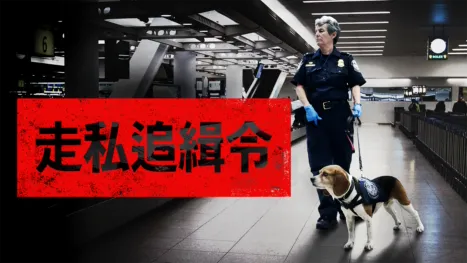 thumbnail - 走私追緝令