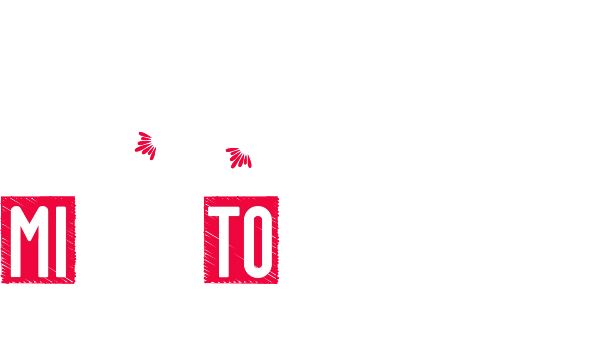 Milano-Torino