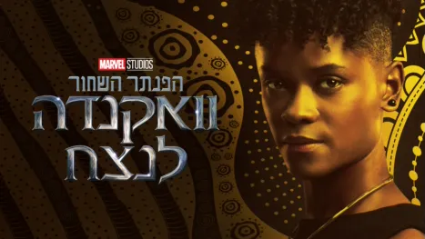 thumbnail - הפנתר השחור: וואקנדה לנצח