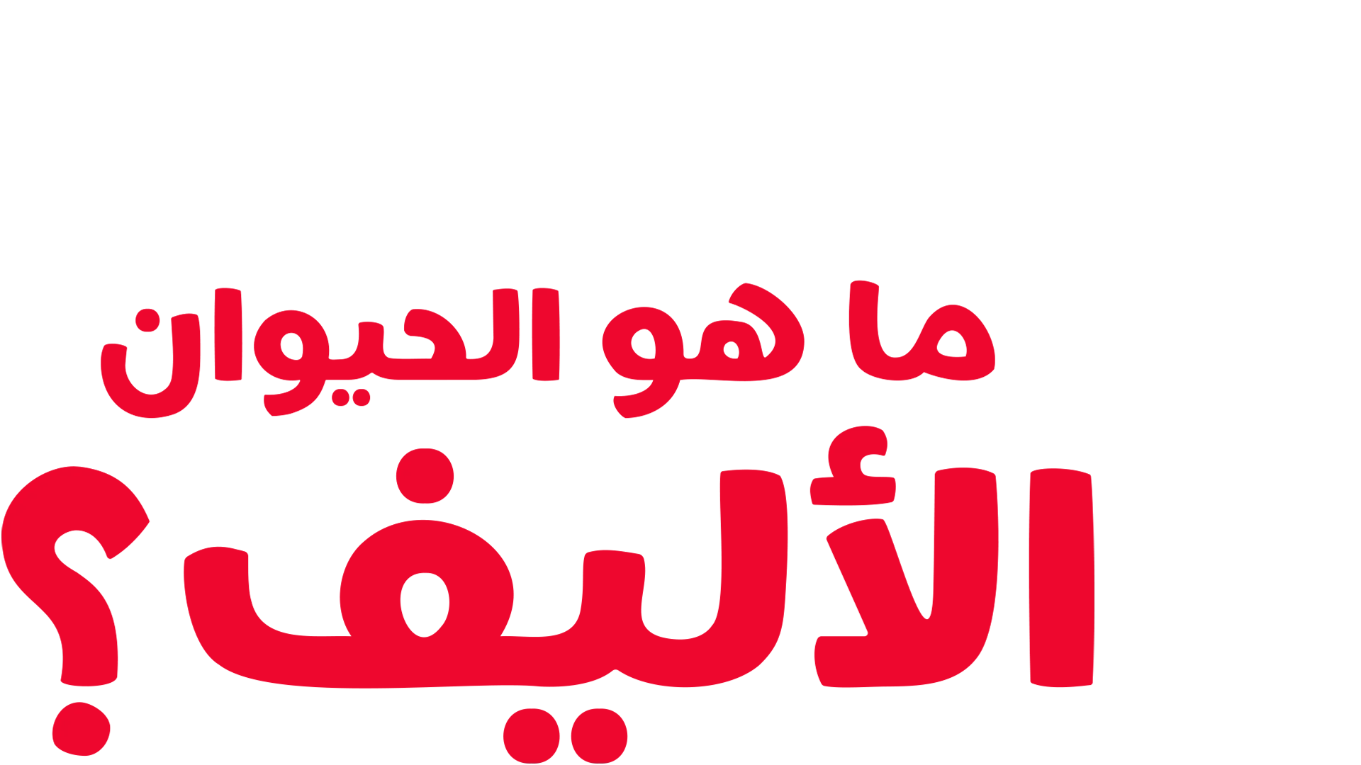 "فوركي" يطرح سؤالاً: ما هو الحيوان الأليف؟