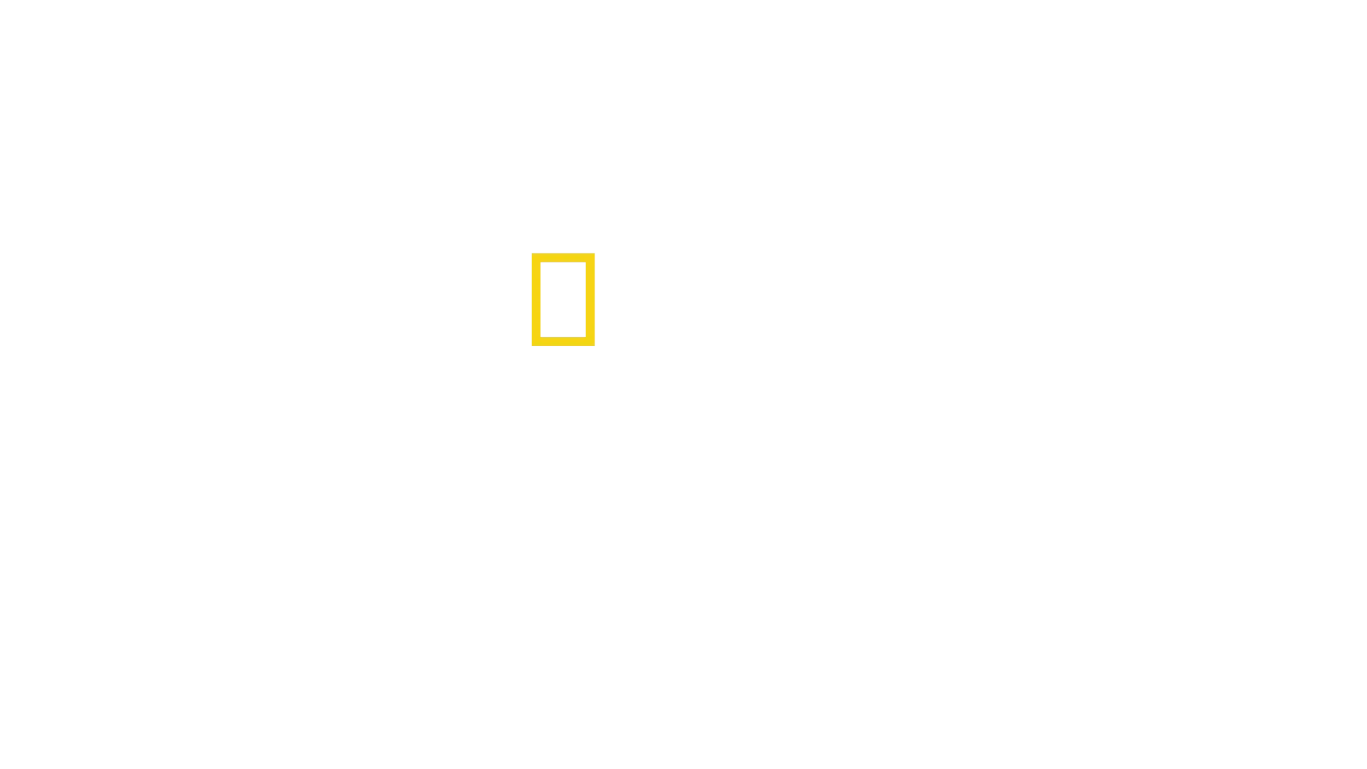 תופרי הדגלים