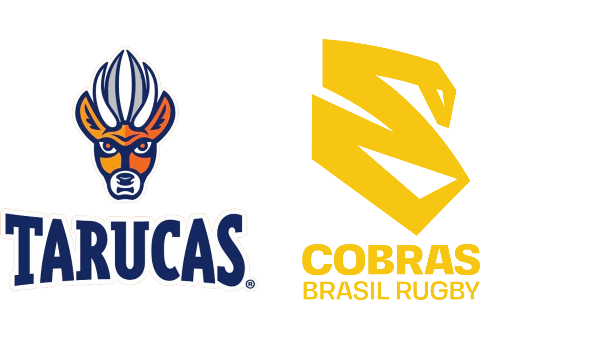 Tarucas vs. Cobras Brasil Rugby
