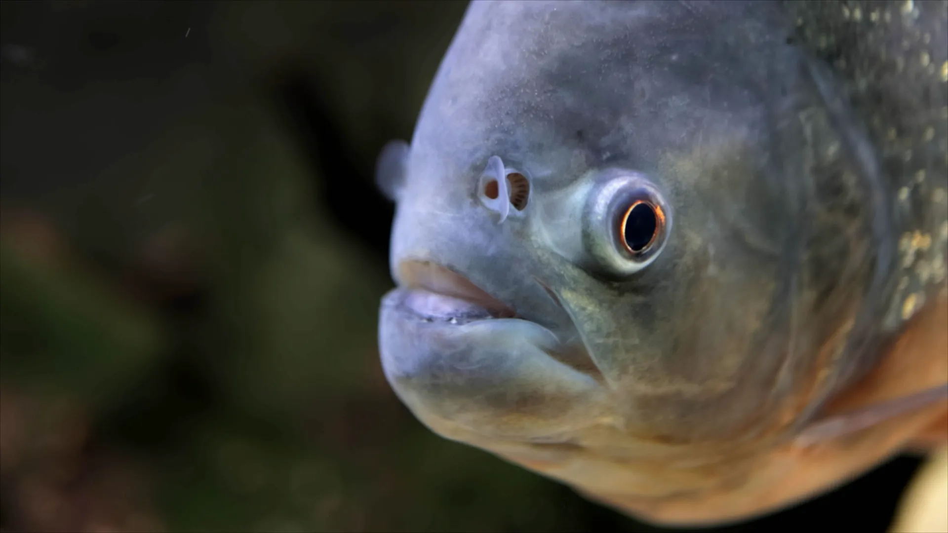 thumbnail - S3:E6 Watery Wonders