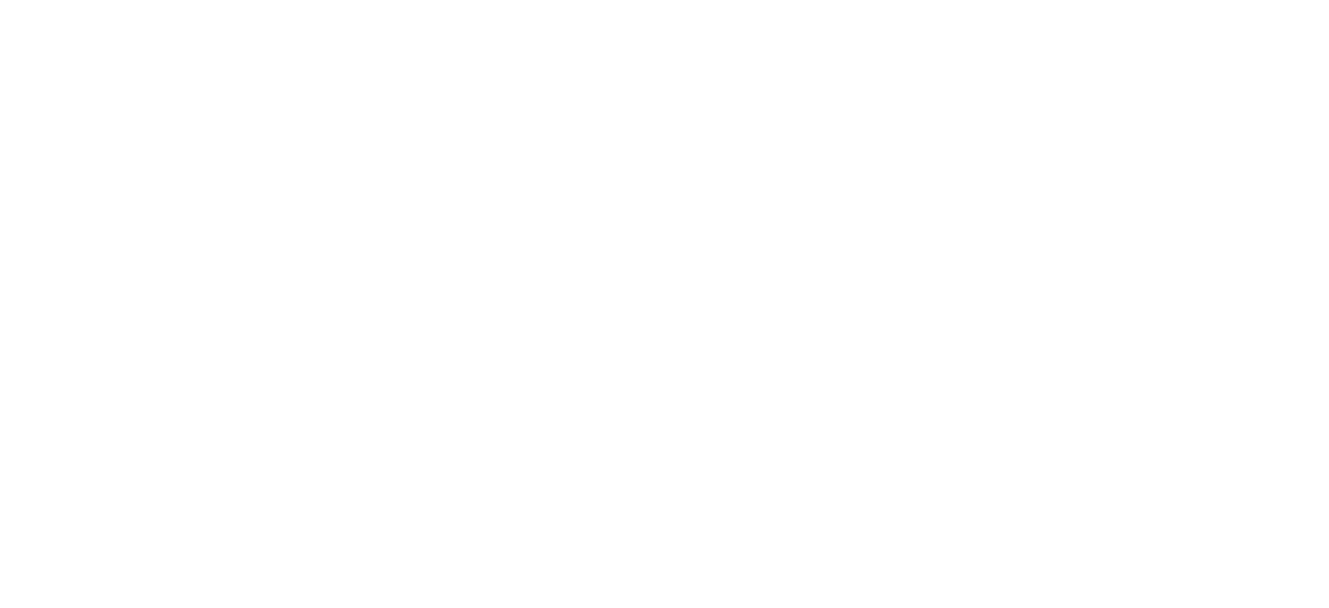 Blueys store forestilling – Sceneshowet
