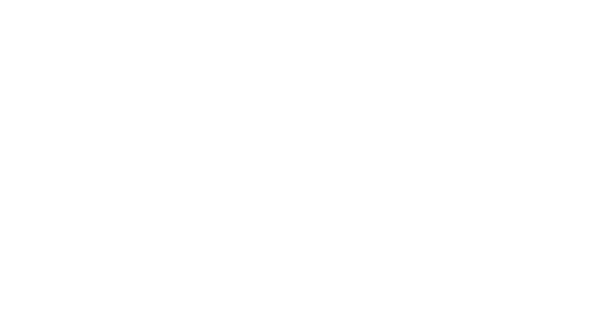Bluey's Big Play: Die Bühnenshow