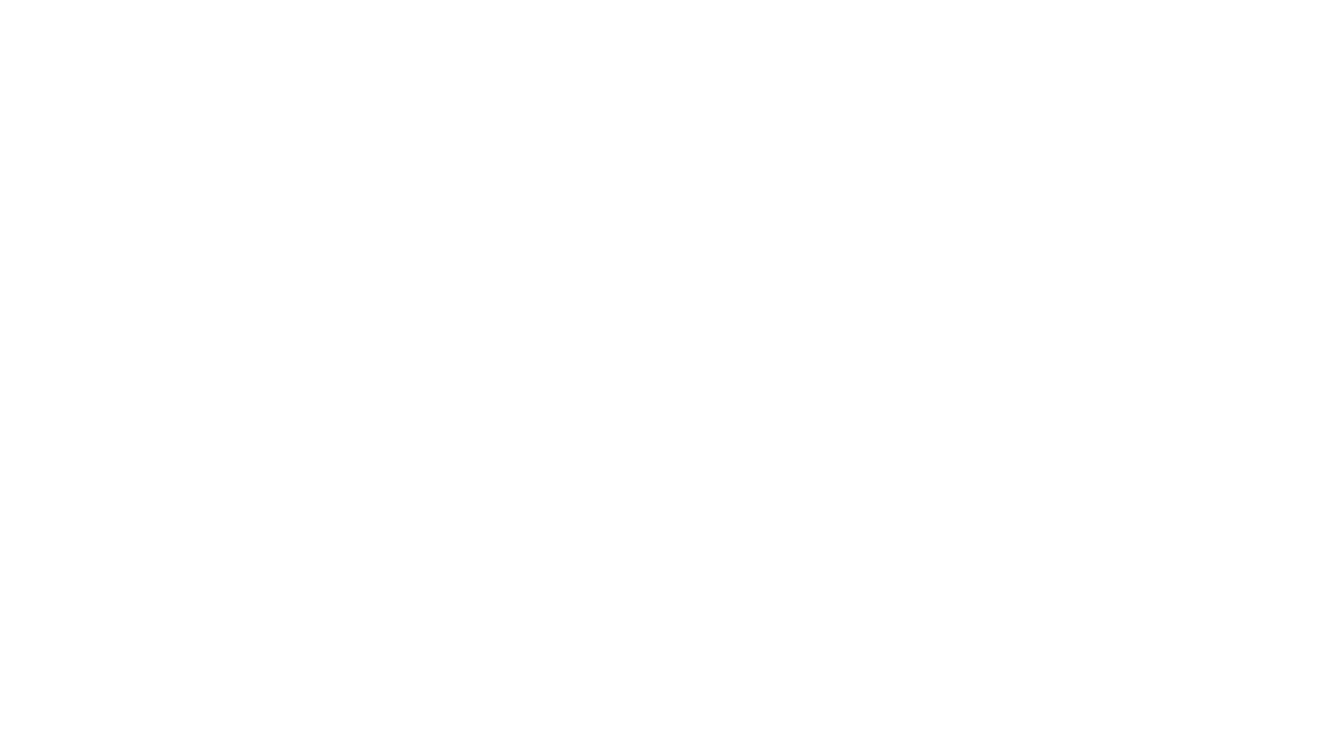 Bluey le Spectacle : tous sur scène
