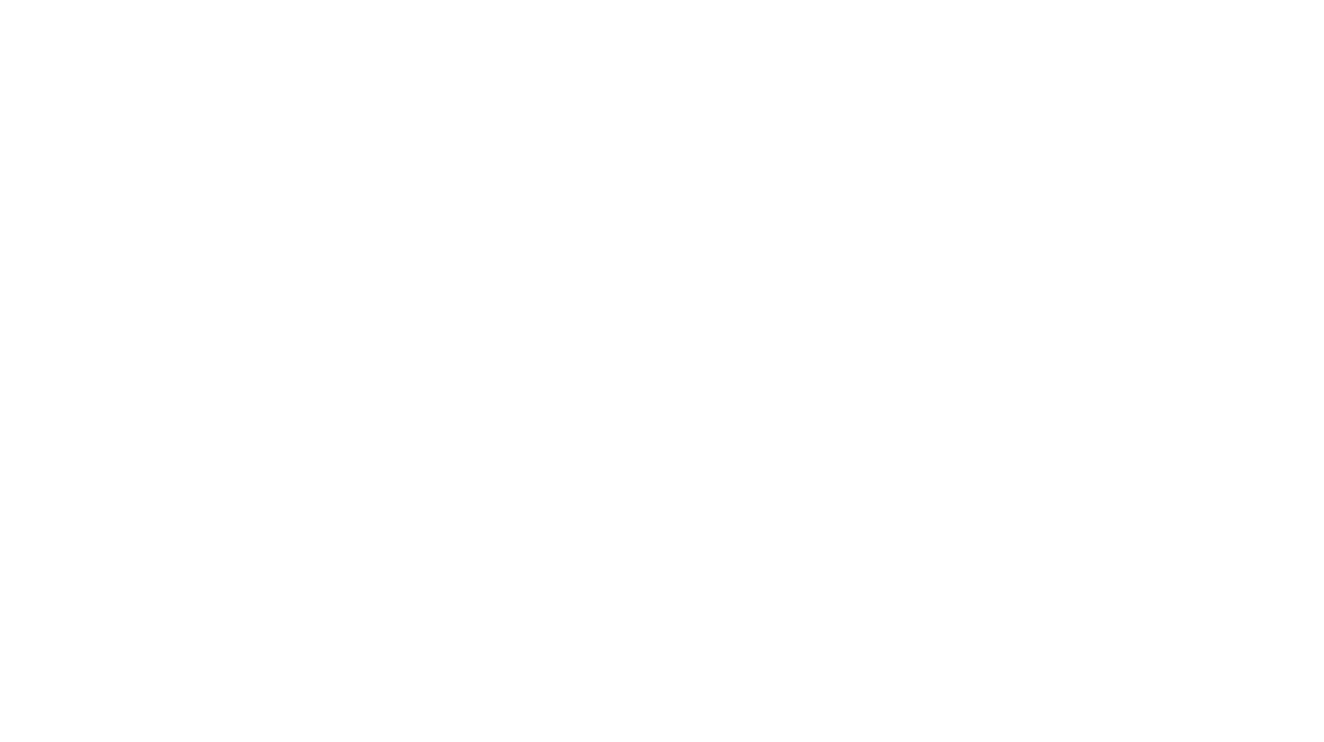 Bluey le Spectacle : tous sur scène