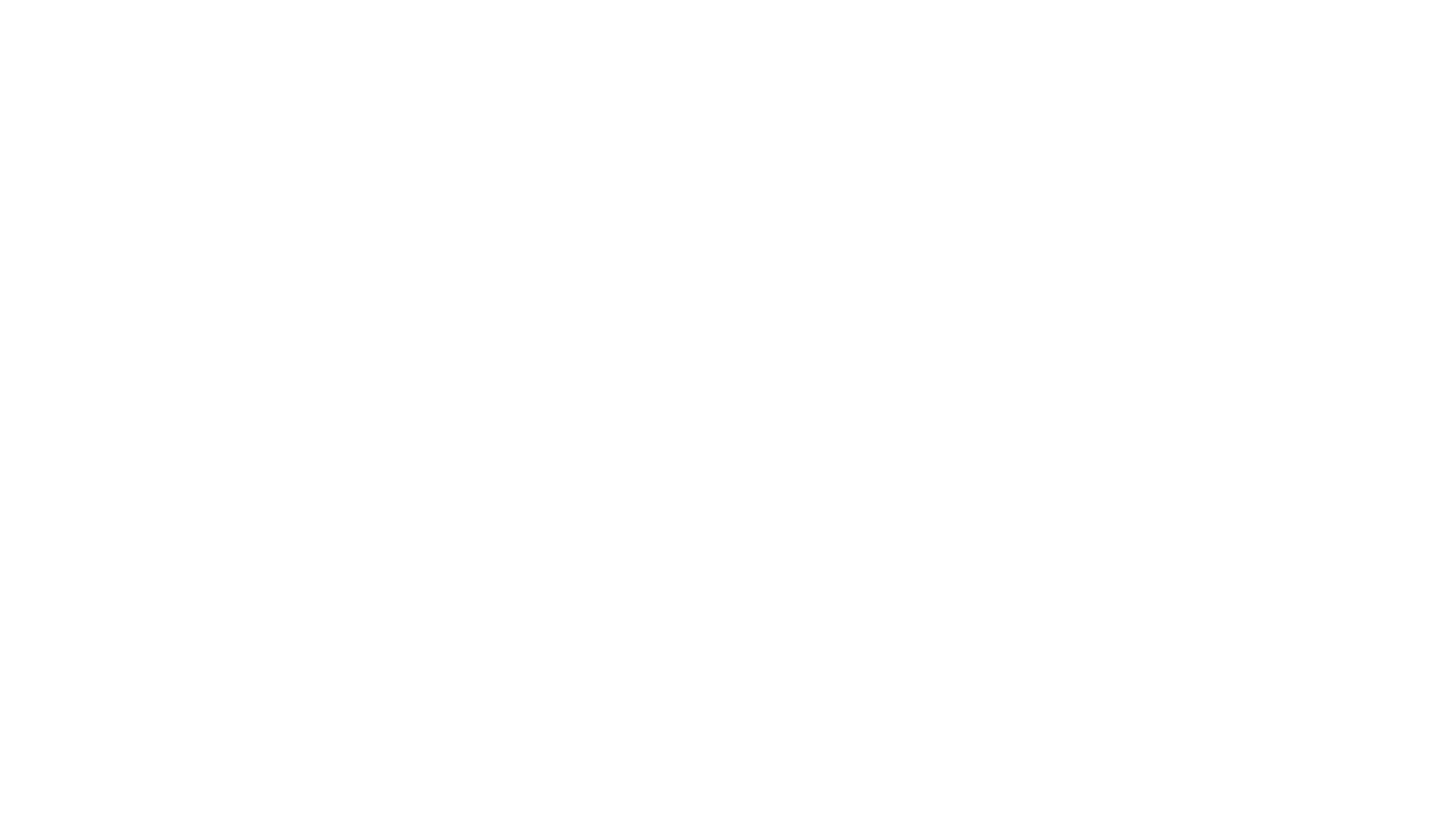 Bluey ao Vivo