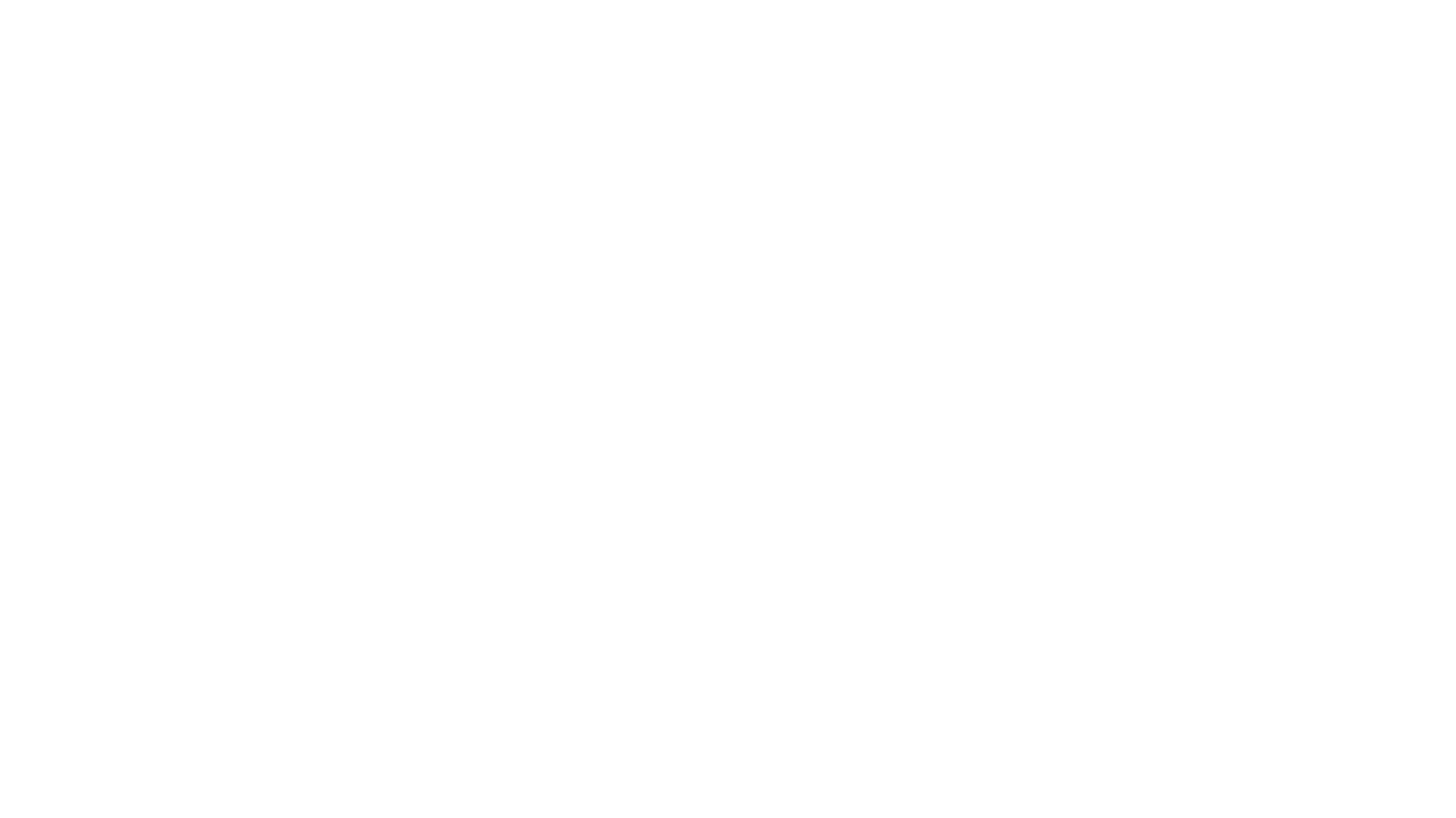 Bluey ao Vivo