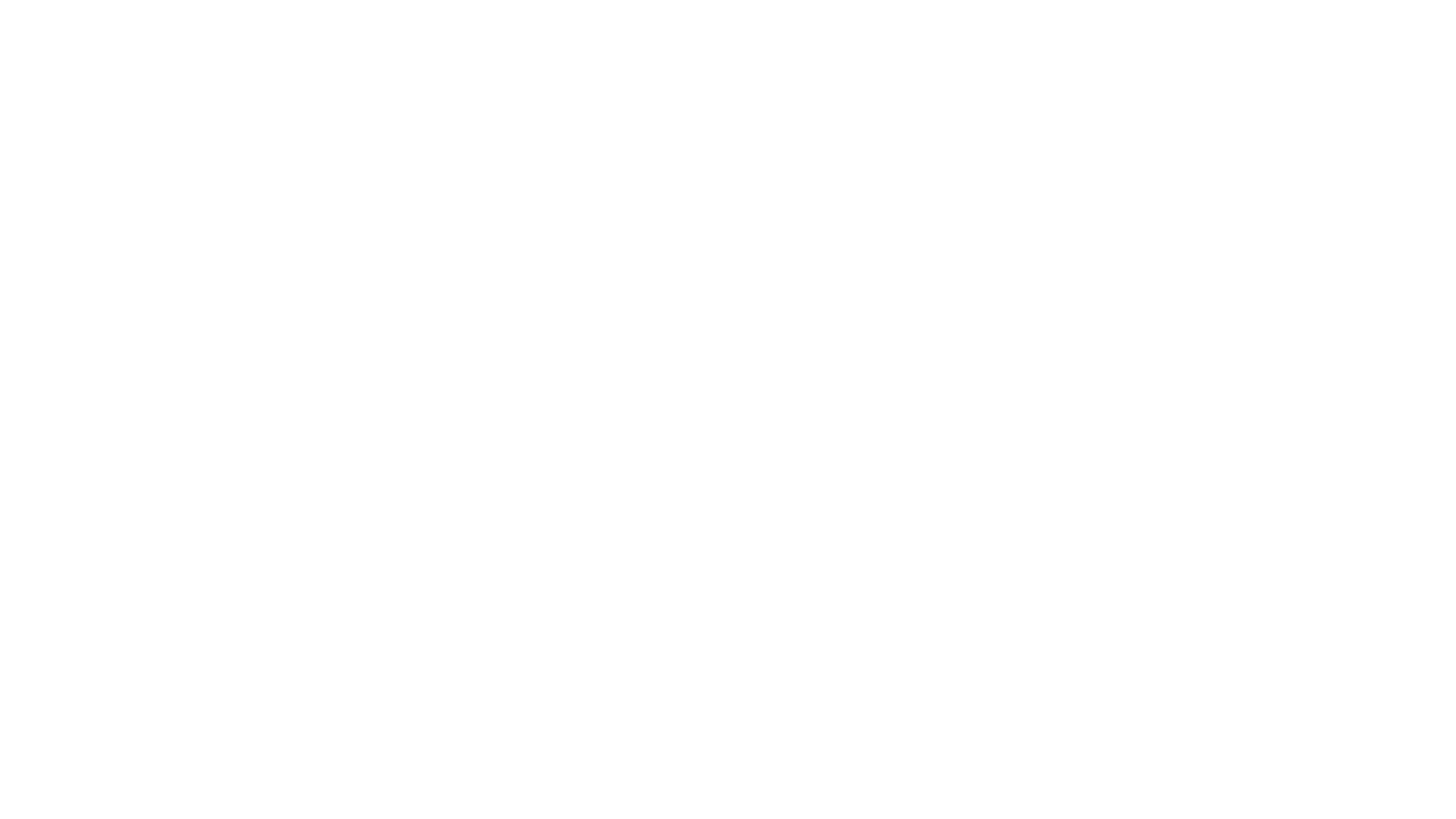 Blueys stora pjäs – Föreställningen