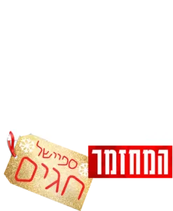 היי סקול מיוזיקל: המחזמר: ספיישל חגים