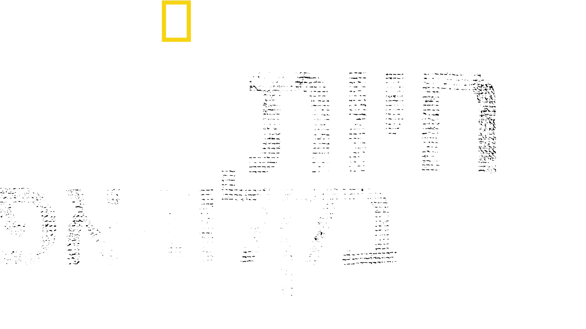 חיות בקלוז-אפ עם ברטי גרגורי