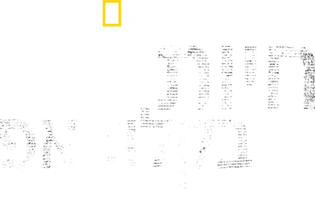 חיות בקלוז-אפ עם ברטי גרגורי