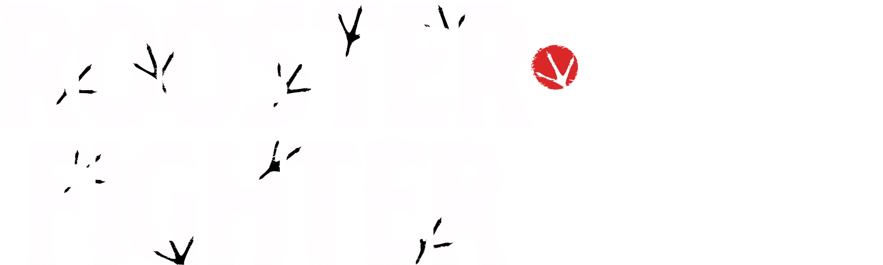 Rooster Fighter