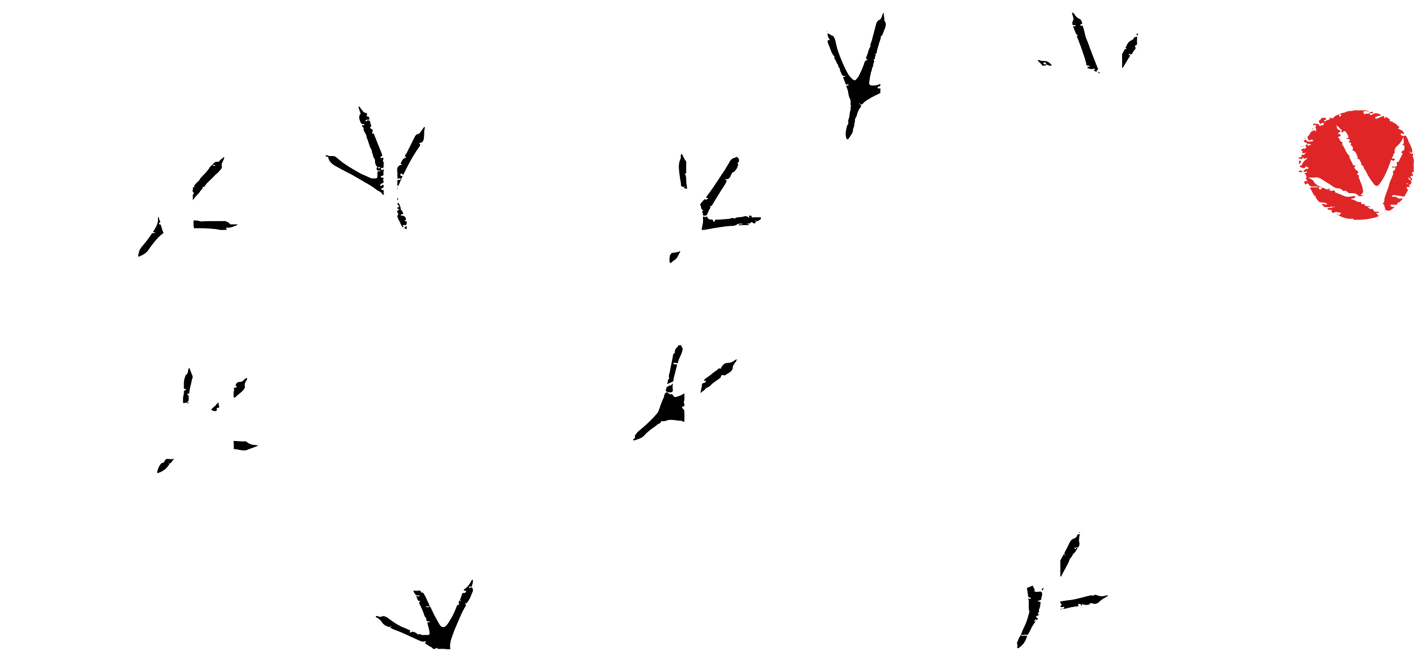 Rooster Fighter