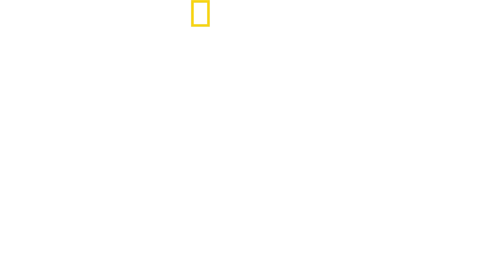 Jaguar Journals