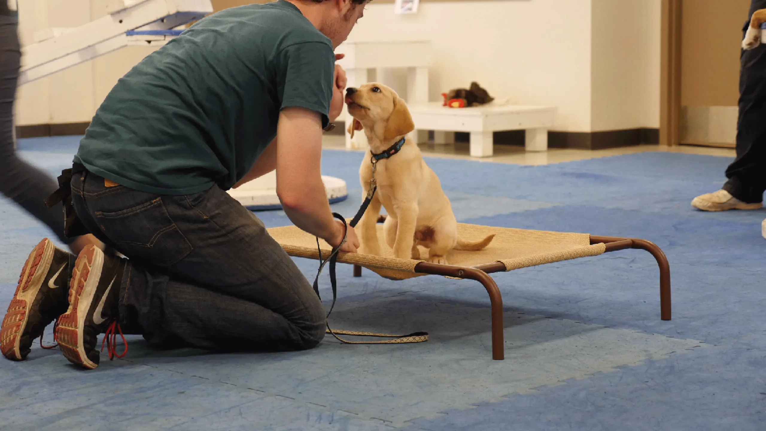thumbnail - S1:E4 Dog Days