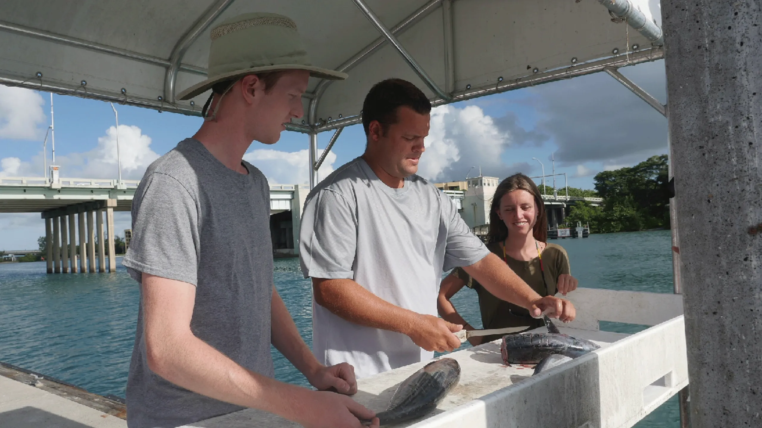 thumbnail - S1:E5 Sharks!