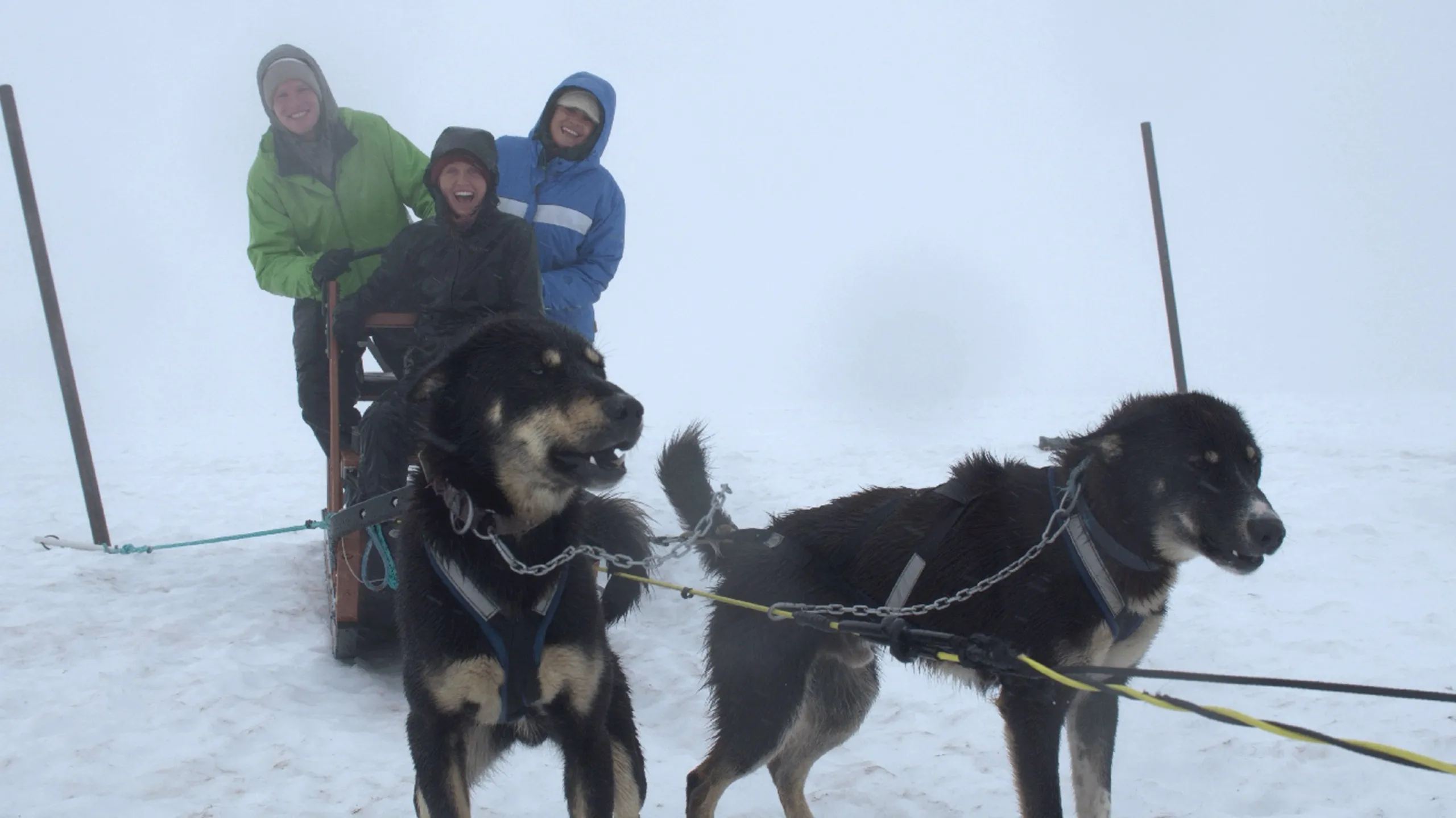 thumbnail - S1:E8 Alaska's Animals