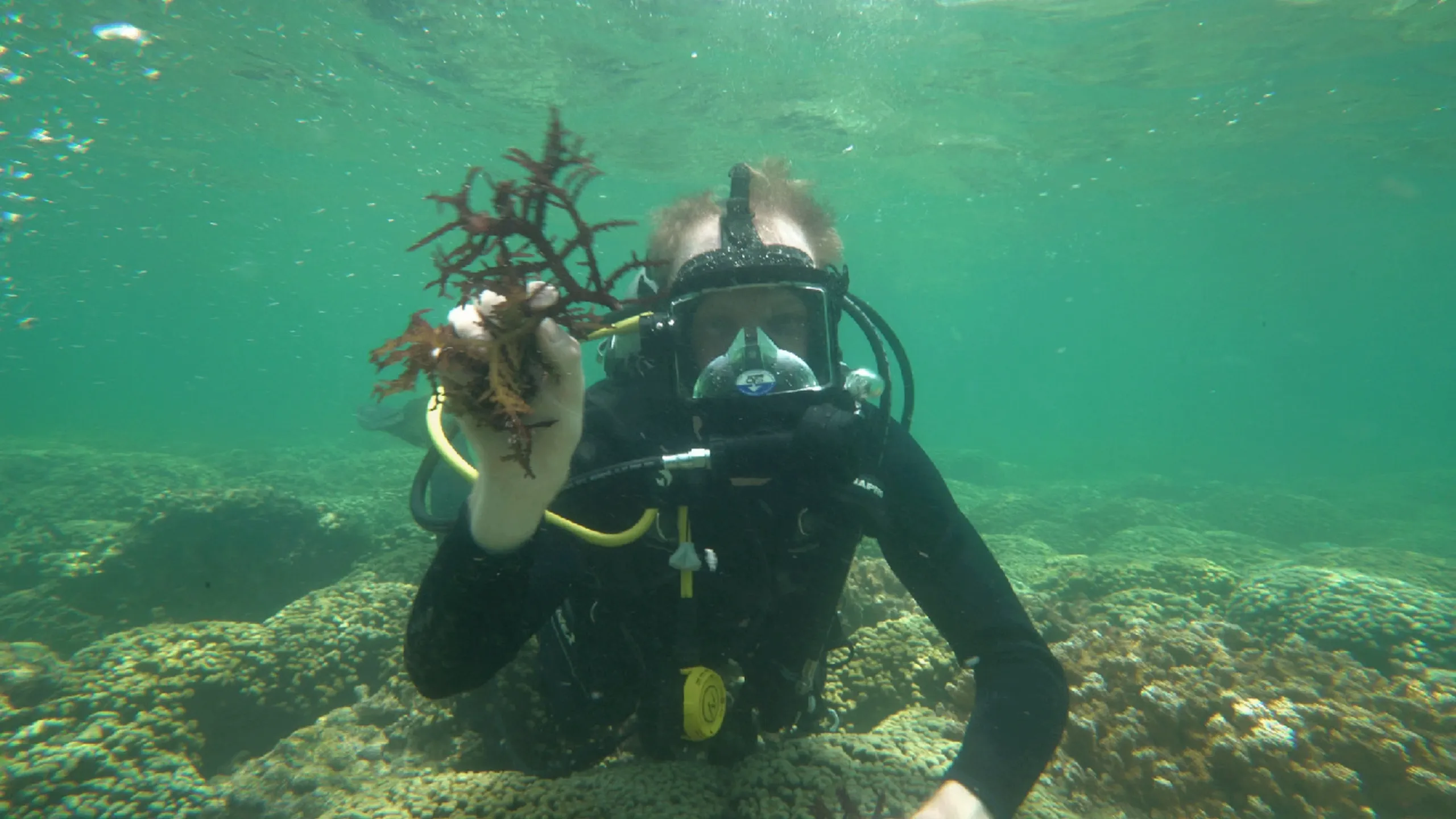 thumbnail - S2:E7 Coral Reef Crazy