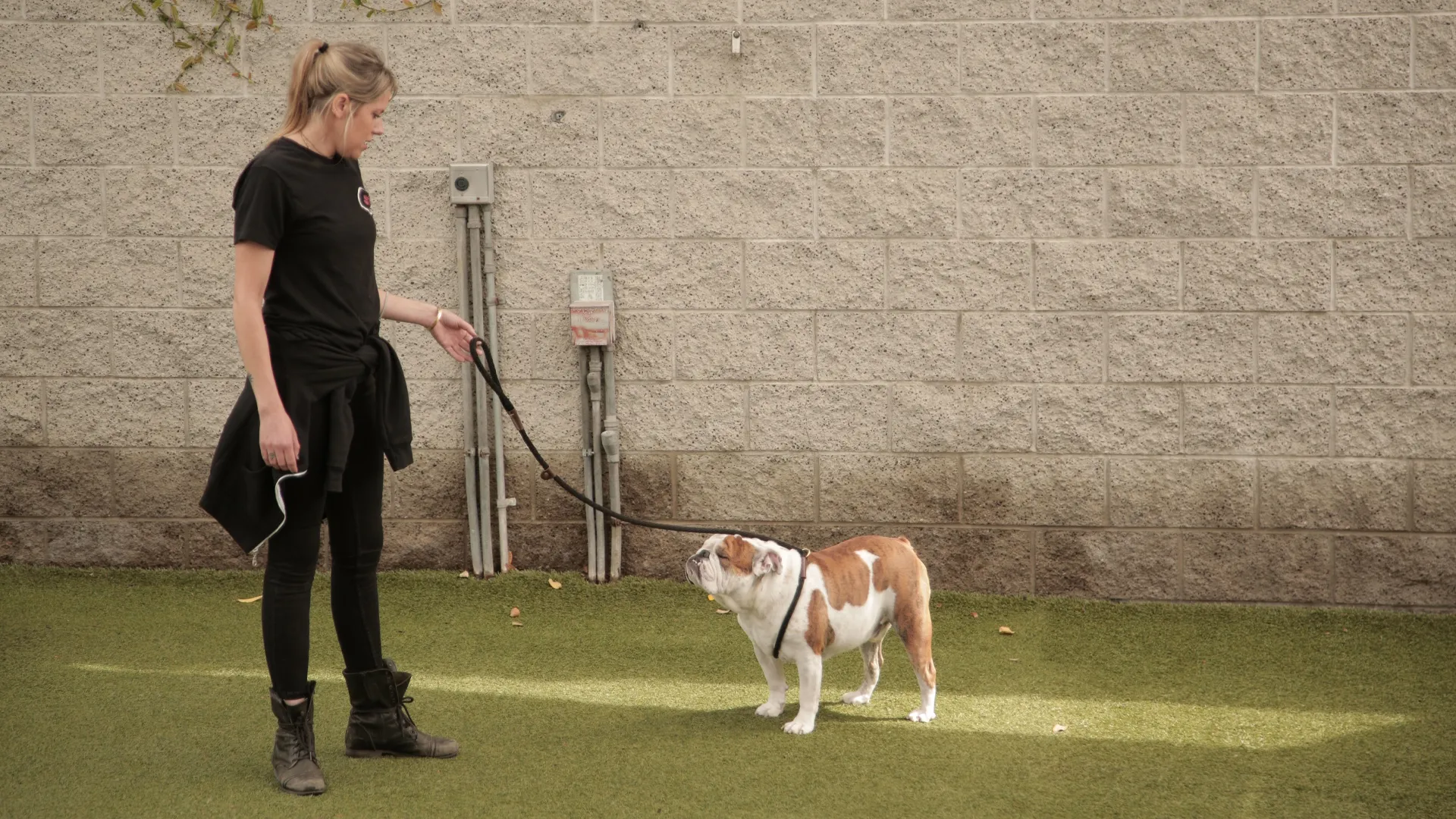 thumbnail - S2:E4 Three's a Crowd