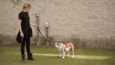 thumbnail - S2:E4 Three's a Crowd