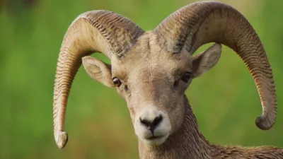 thumbnail - S1:E3 Big Bend