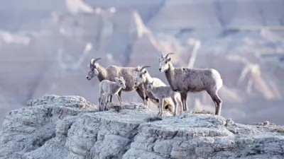 thumbnail - S1:E4 Badlands