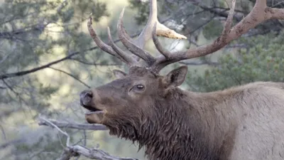 thumbnail - S1:E1 Grand Canyon