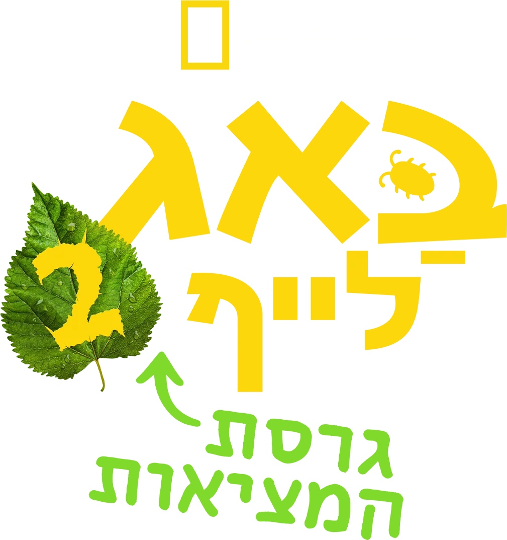 באג לייף: גרסת המציאות