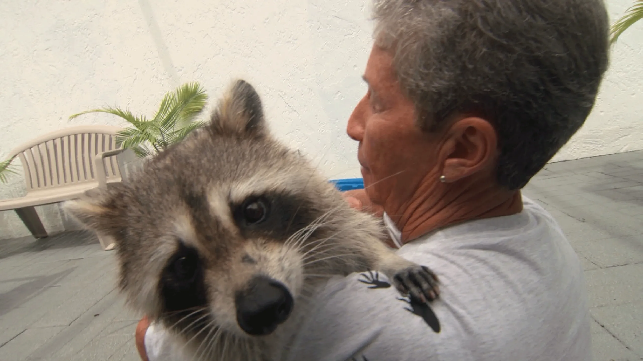 thumbnail - S3:E5 Modern Family