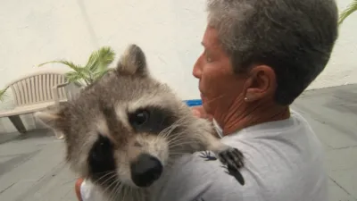 thumbnail - S3:E5 Modern Family