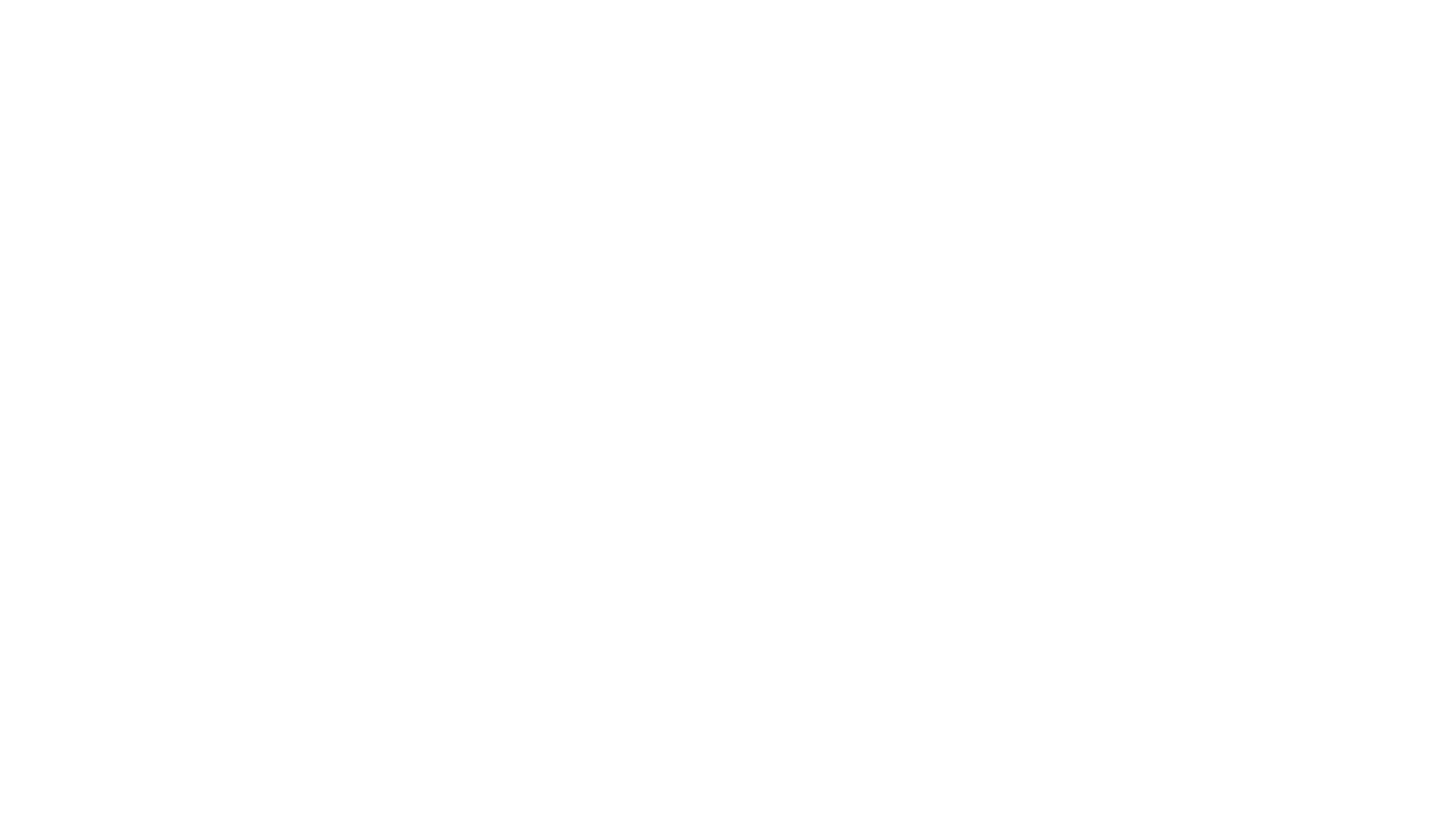 Bluey's Grote Show: Op Het Toneel