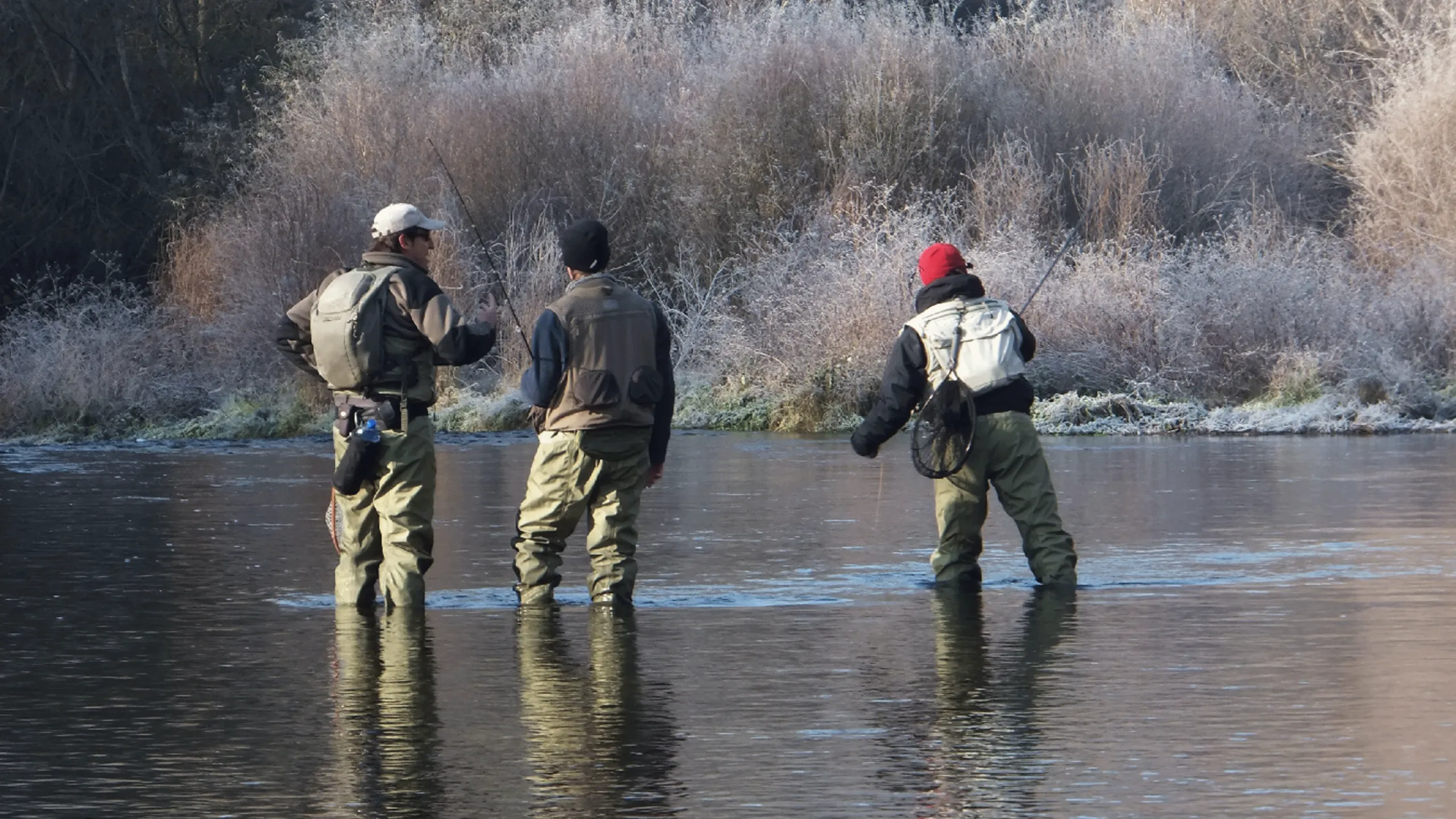 thumbnail - S1:E8 Episode 8