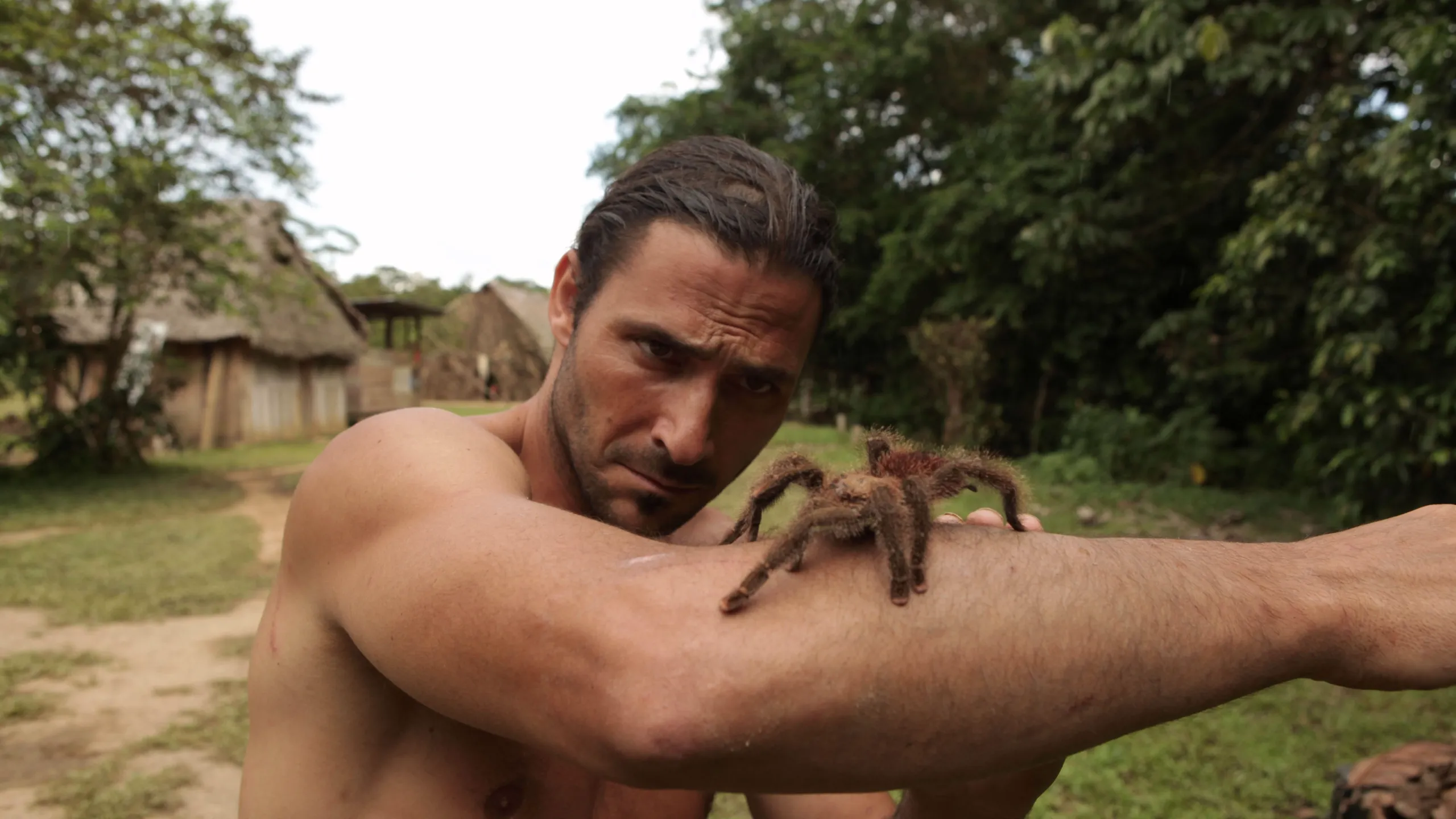thumbnail - S1:E2 Rainforest Masters