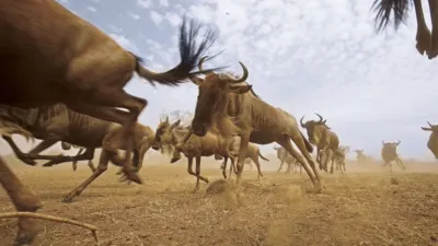 thumbnail - S1:E1 Born to Move