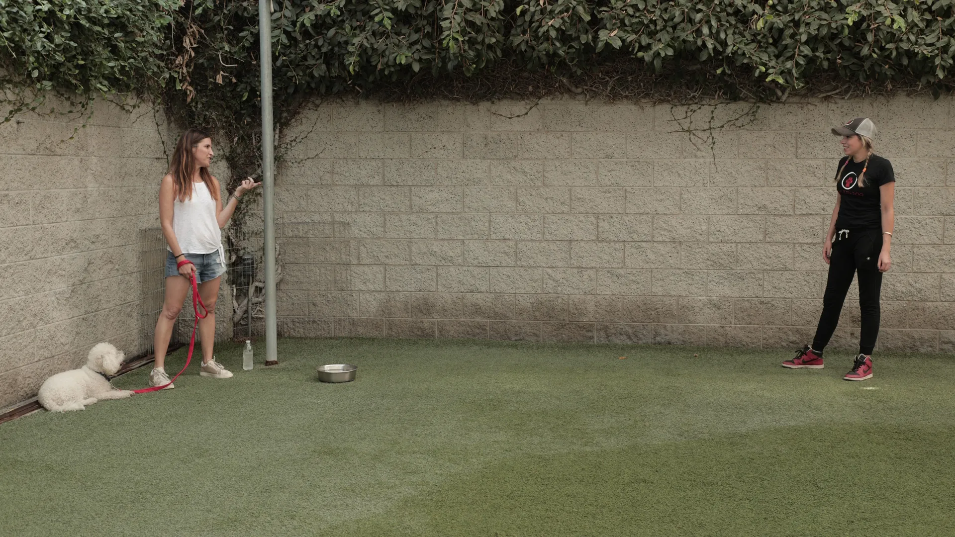 thumbnail - S2:E7 When Harry Met Sari