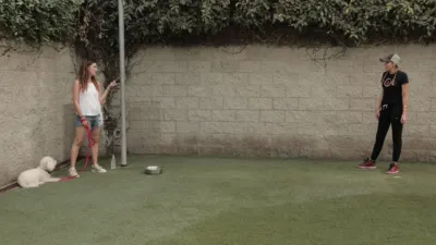 thumbnail - S2:E7 When Harry Met Sari