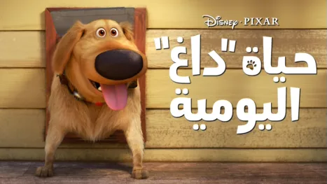 thumbnail - حياة "داغ" اليومية